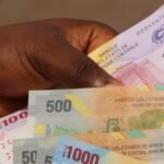 Tanzanie : un financier canadien quitte des crédits carbone pour 6 millions USD